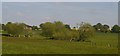 View from the railway towards Whitley Crest