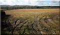 Arable field north of Linkinhorne