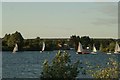 View of sailing boats on the lake in Fairlop Waters #6