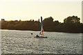 TQ4590 : View of sailing boats on the lake in Fairlop Waters #9 by Robert Lamb