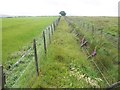 Deer fence, Exmoor