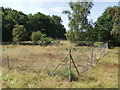 Gravel Pit Silwood Park