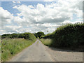 The road past the old chalk pit and lime works, East Rudham