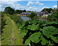 Trent & Mersey Canal at Weston