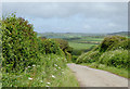 Lane east of Elmscott, Devon