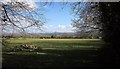 Field near Oldclims