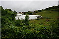 Polytunnels, Fordbrook Farm and nursery