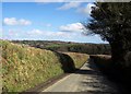 Lane to Horsebridge