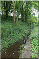 Ellergill Beck