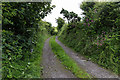 Grass Road towards Snellings Mire