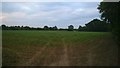 Wilby - Barley View footpath