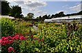 Parham House: Plant sales area