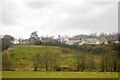 Sheep grazing below Winsham