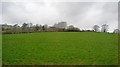 Grazing land near Clapton