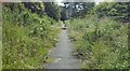 Footpath, New Bury