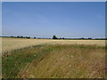 Wilby - Footpath overlooking Prospect House