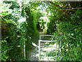 The North Downs Way from White Hill