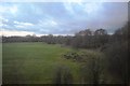 Farmland and trees