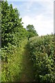 Footpath beside the A130