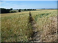 Footpath towards Uffington Court