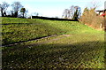 Canal bank at the edge of Kimberly Park, Newport