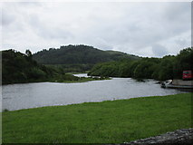 W2165 : The River Lee near Inchigeelagh by Jonathan Thacker
