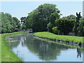 The New River by Broxbourne station (2)