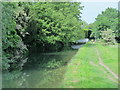 The New River south of Upper Marsh Lane, EN11