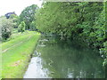 The New River south of Upper Marsh Lane, EN11 (2)