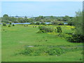 Field between the New River and Admirals Walk Lake