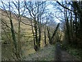 Tamar Valley Discovery Trail near Gunnislake