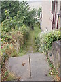 Footpath - Albion Road