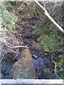 Crugau Woods Stream