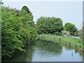 The New River east of Lampits, EN11