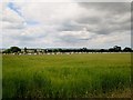 A  farming  scene  at  East  Knapton