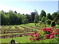 Exeter Crematorium rose garden