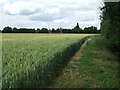 Footpath And Field Boundary