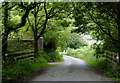 Lane to Welcombe, Devon