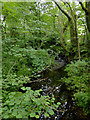 Brook at Watergap Cross, Devon