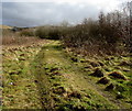 Track through a Coal Board site, Caerau