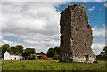 S0047 : Castles of Munster: Ballagh, Tipperary (1) by Mike Searle