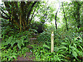 Footpath from Brockfield Lane to Grove Hill