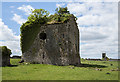 S2656 : Castles of Munster: Buolick, Tipperary (2) by Mike Searle