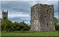 S2029 : Castles of Munster: Lisronagh, Tipperary (1) by Mike Searle