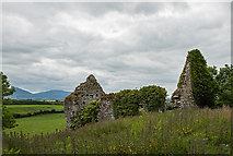 S0519 : Castles of Munster: Roosca, Tipperary (1) by Mike Searle