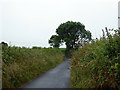 Near Hill Farm, South of Pembroke