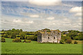 R8979 : Castles of Munster: Lisbunny, Tipperary (1) by Mike Searle