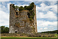 S1133 : Castles of Munster: Ballydoyle, Tipperary (1) by Mike Searle
