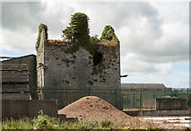 S1332 : Castles of Munster: Castleblake, Tipperary (1) by Mike Searle