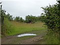 Entrance to a field near Whitsley Cross